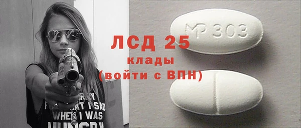 ГАЛЛЮЦИНОГЕННЫЕ ГРИБЫ Верея