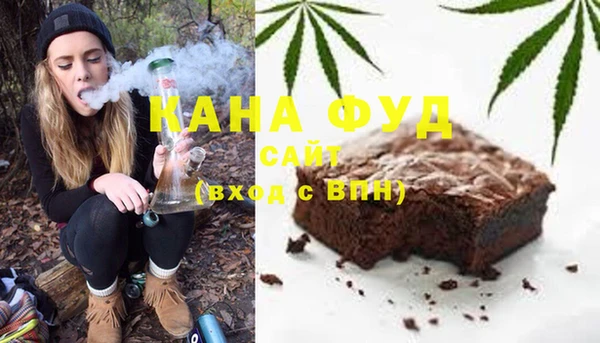 гашик Инсар