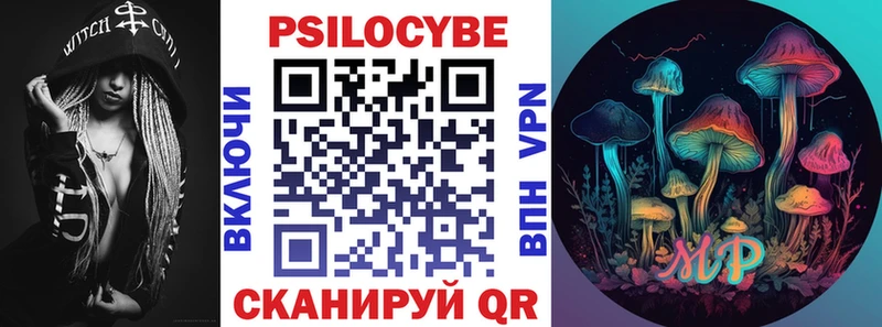 KRAKEN зеркало  Камень-на-Оби  Псилоцибиновые грибы прущие грибы 